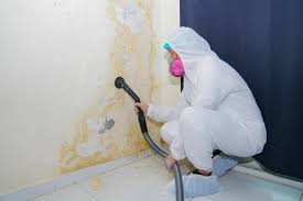 Best Comprehensive Air Testing for Mold Contaminants  in Holly Springs, GA